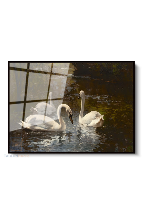 Çerçeveli Yatay Cam Tablo Salon Duvar Tablosu Yatay Cam Beyazkugular Yeni Ev Hediyesi Ofis Tablosu