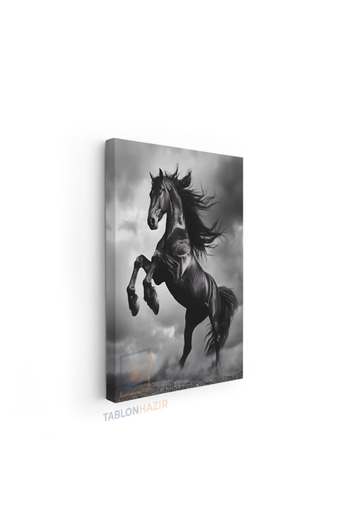Dikey Kanvas Tablo Salon Duvar Tablosu Siyah Asil At Yeni Ev Hediyesi Ofis Tablosu