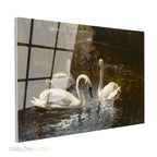 Yatay Cam Tablo Salon Duvar Tablosu Yatay Cam Beyazkugular Yeni Ev Hediyesi Ofis Tablosu